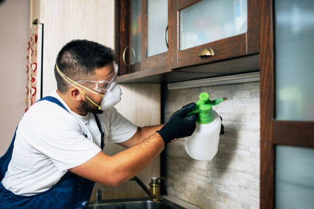 Reliable Lambertville, MI Pest Control Solutions
