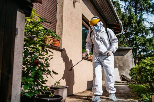 Best Rodent Control Near Me  in Lambertville, MI