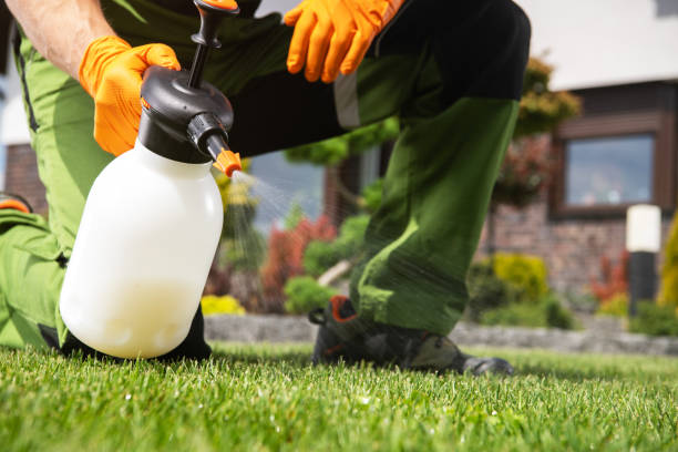 Best Pest Prevention Services  in Lambertville, MI