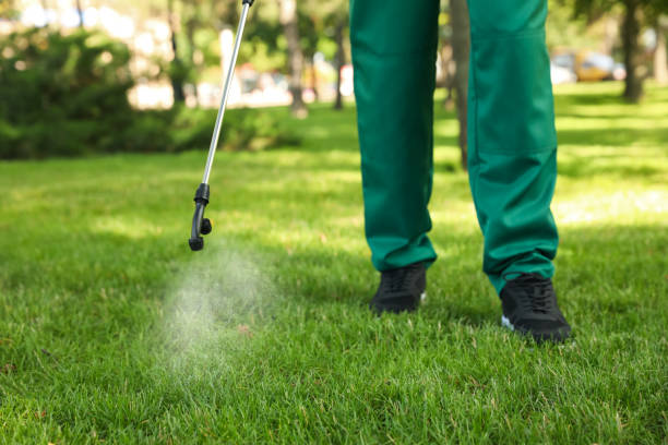Best Pest Control Near Me  in Lambertville, MI