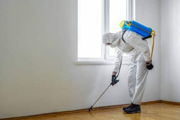 Best Best Pest Control Companies  in Lambertville, MI