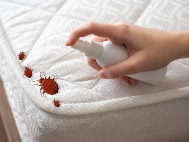 Best Best Pest Control Companies  in Lambertville, MI