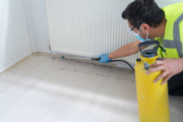 Best Residential Pest Control  in Lambertville, MI